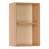 18'' W Science Wall-Mount Upper Cabinet